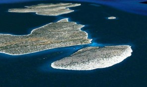 Νησί στον Σαρωνικό Κόλπο Κωδικός:1126